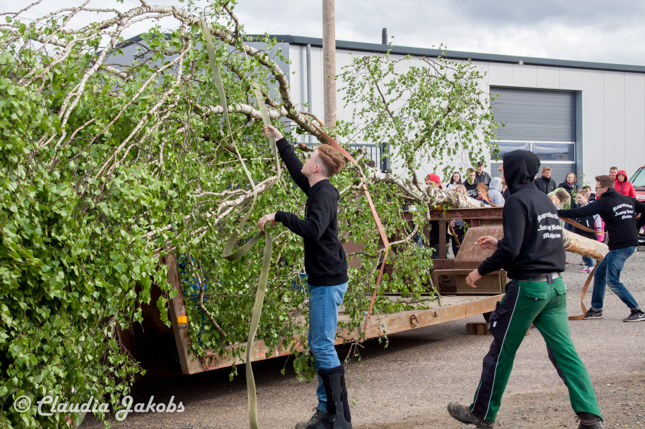 20180430175800 IMG 0849