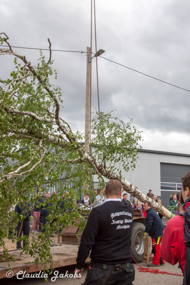 20180430180434 IMG 0863