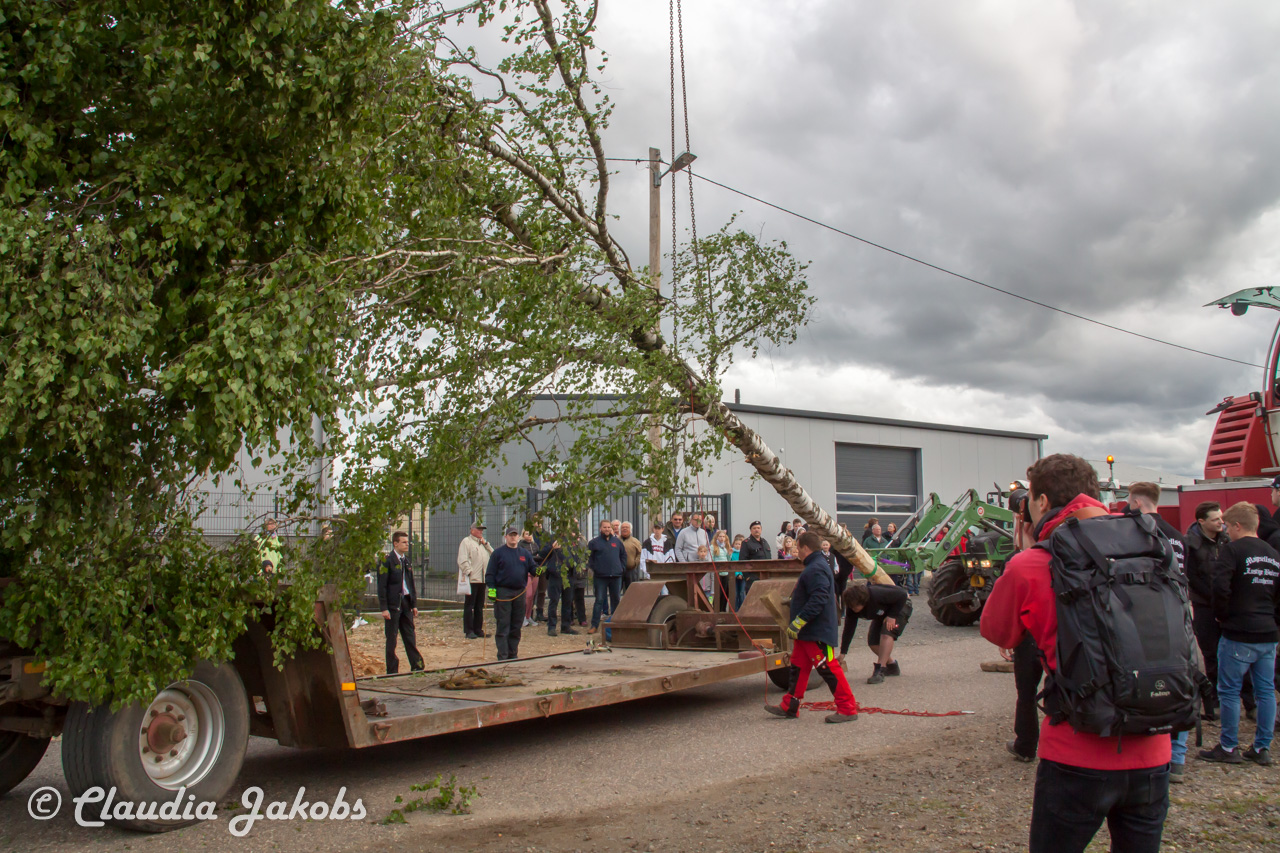 20180430180440 IMG 0865