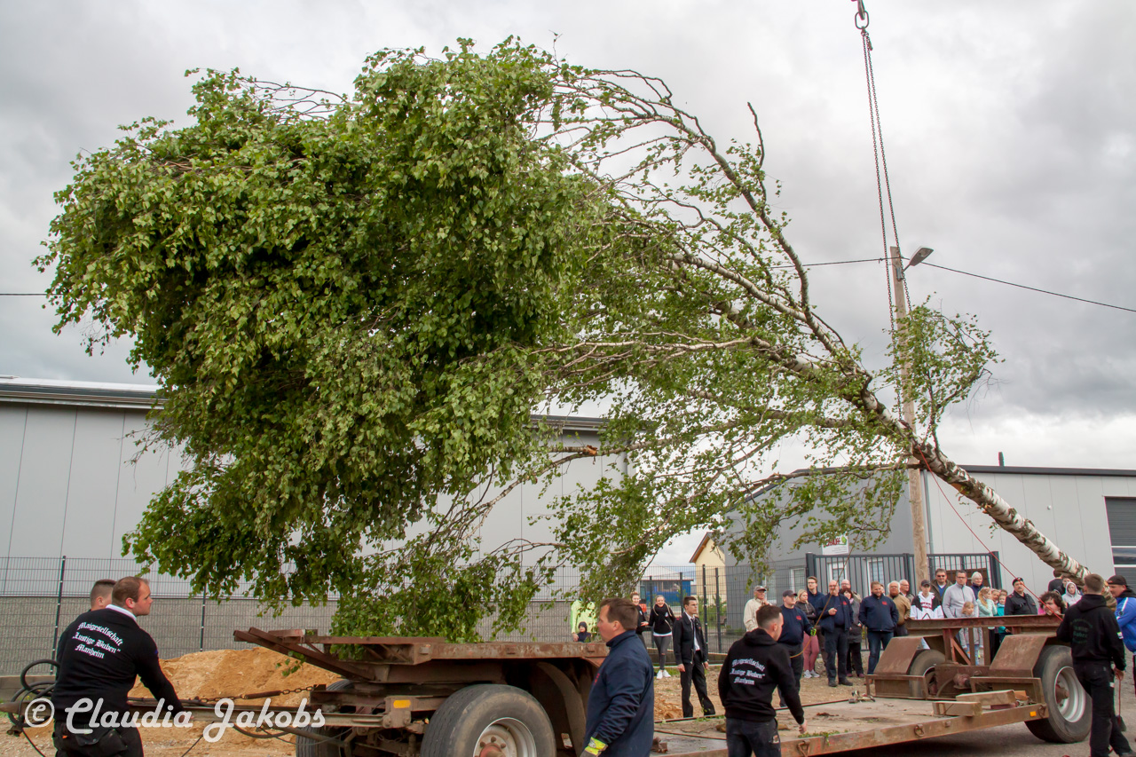 20180430180444 IMG 0866