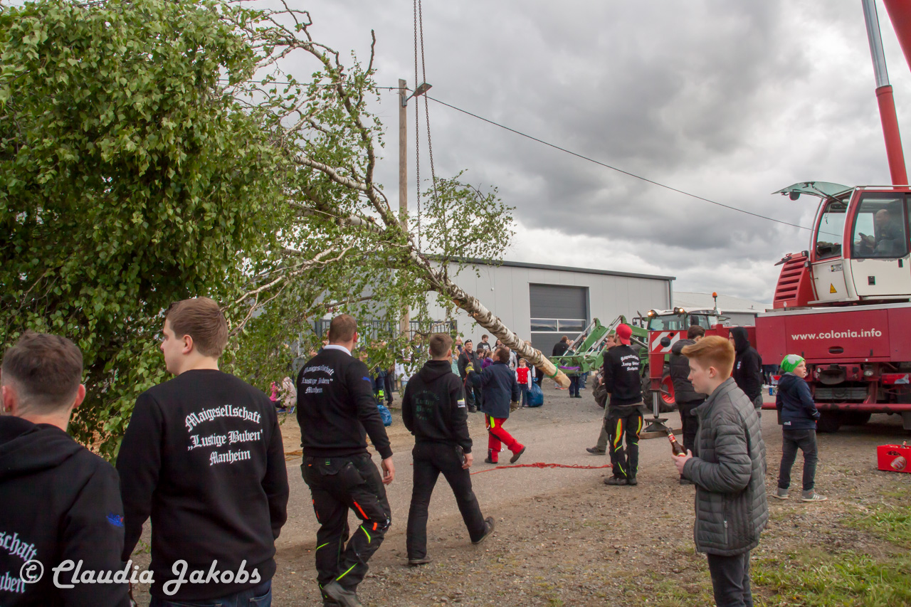 20180430180527 IMG 0876