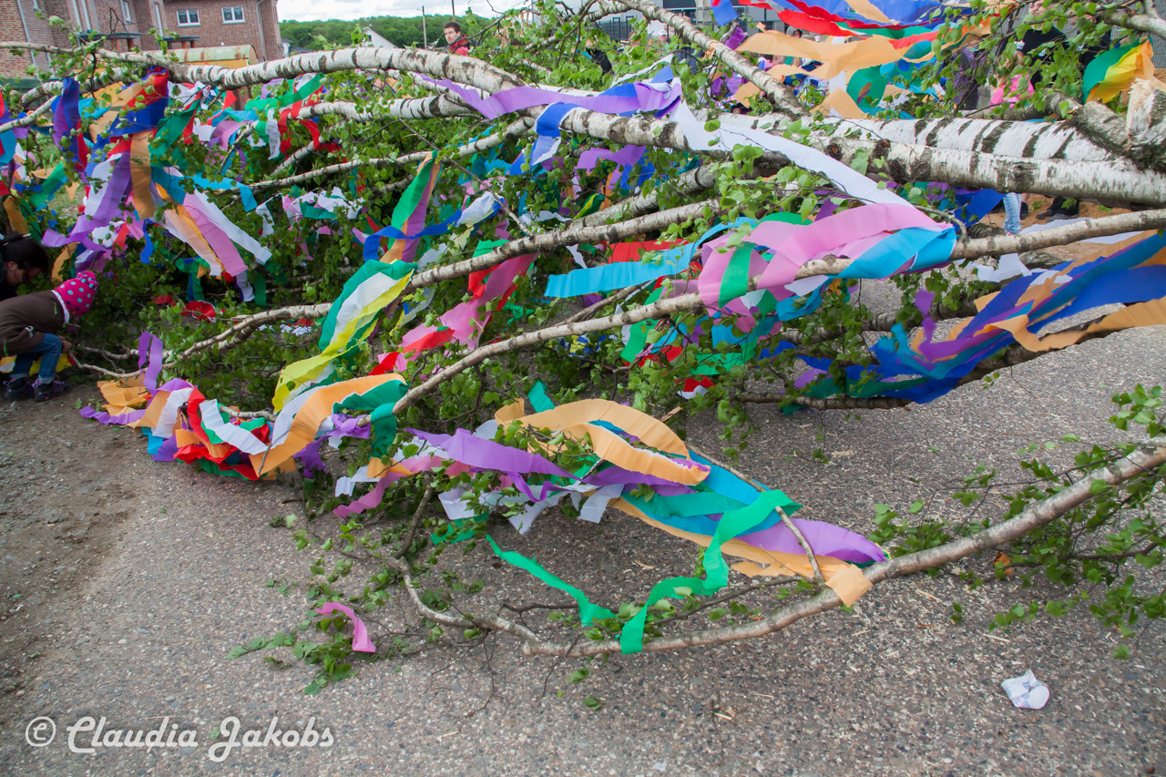 20180430181643 IMG 0912