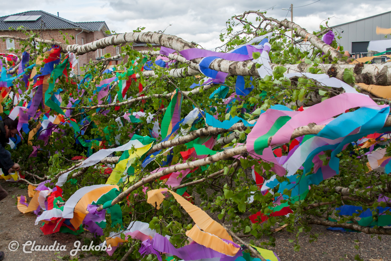 20180430181655 IMG 0915