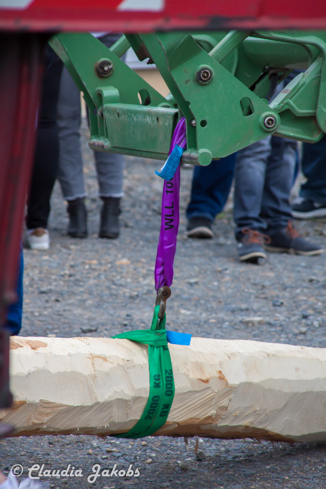 20180430181757 IMG 0916