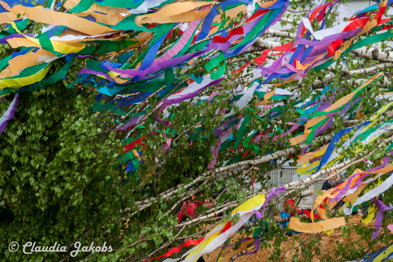 20180430181845 IMG 0920