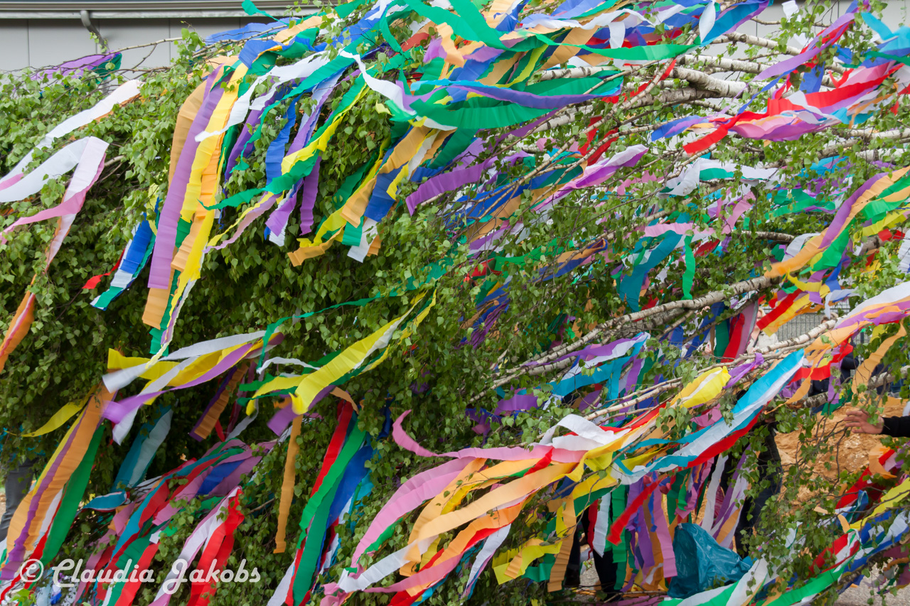 20180430182631 IMG 0941