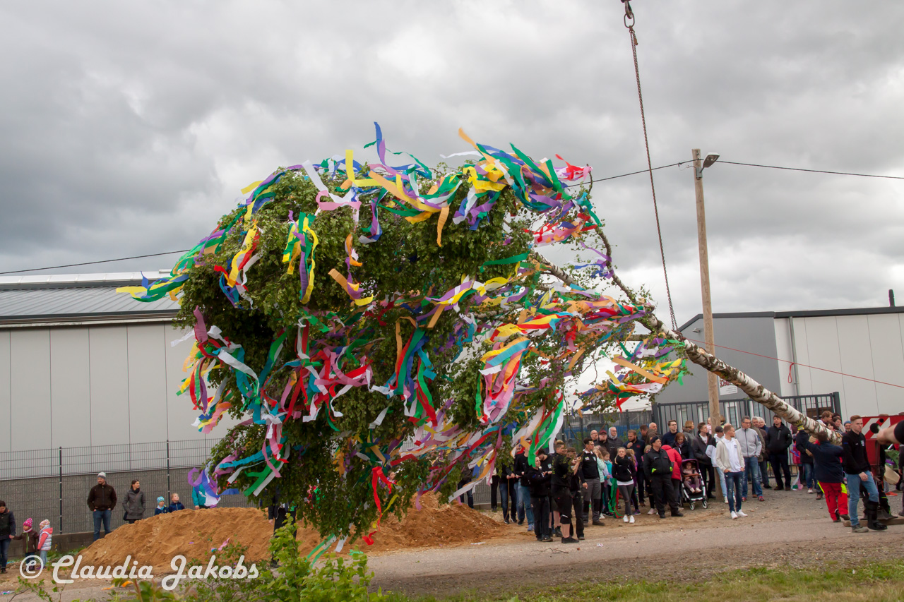 20180430182716 IMG 0943