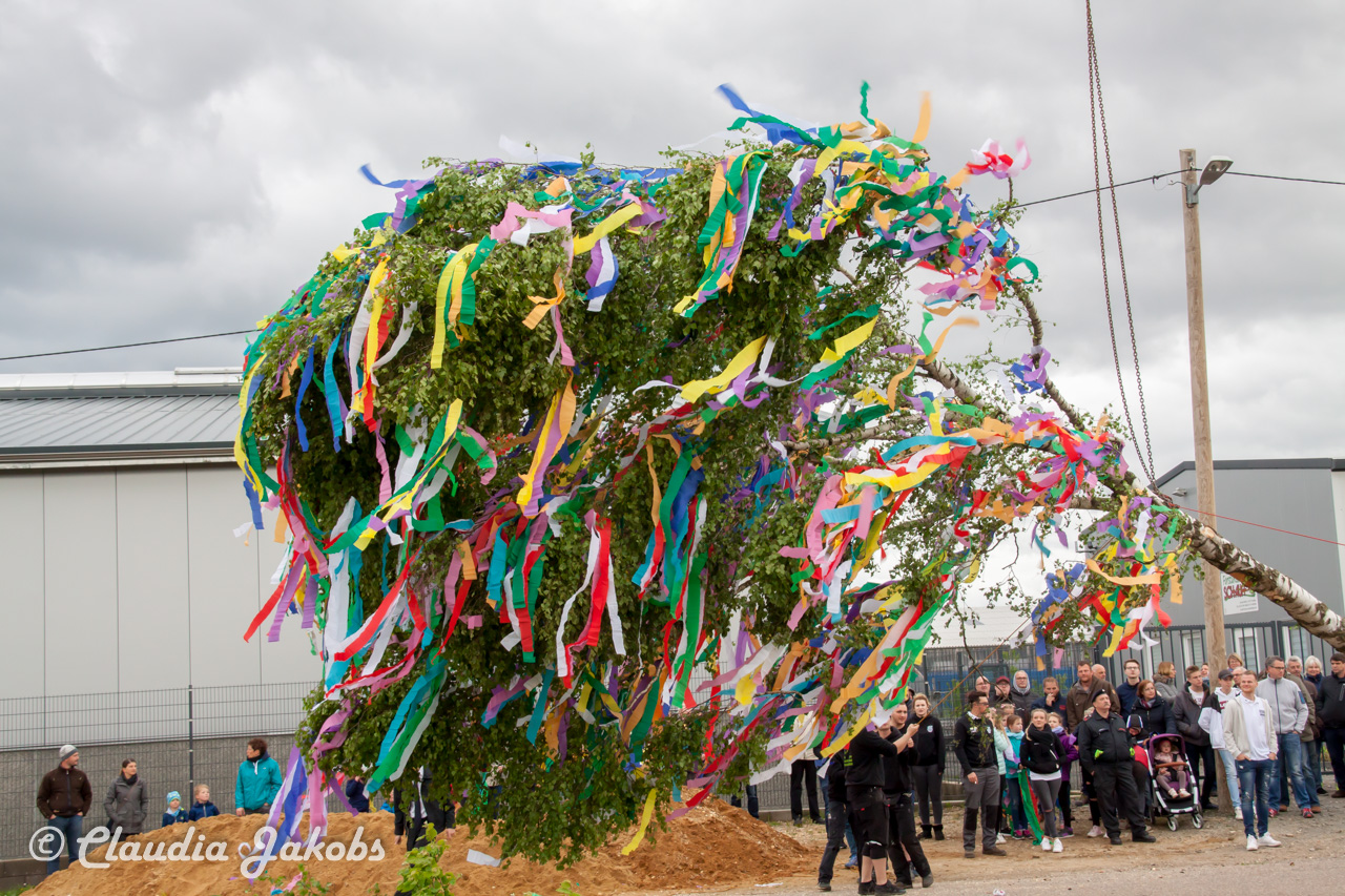 20180430182718 IMG 0944