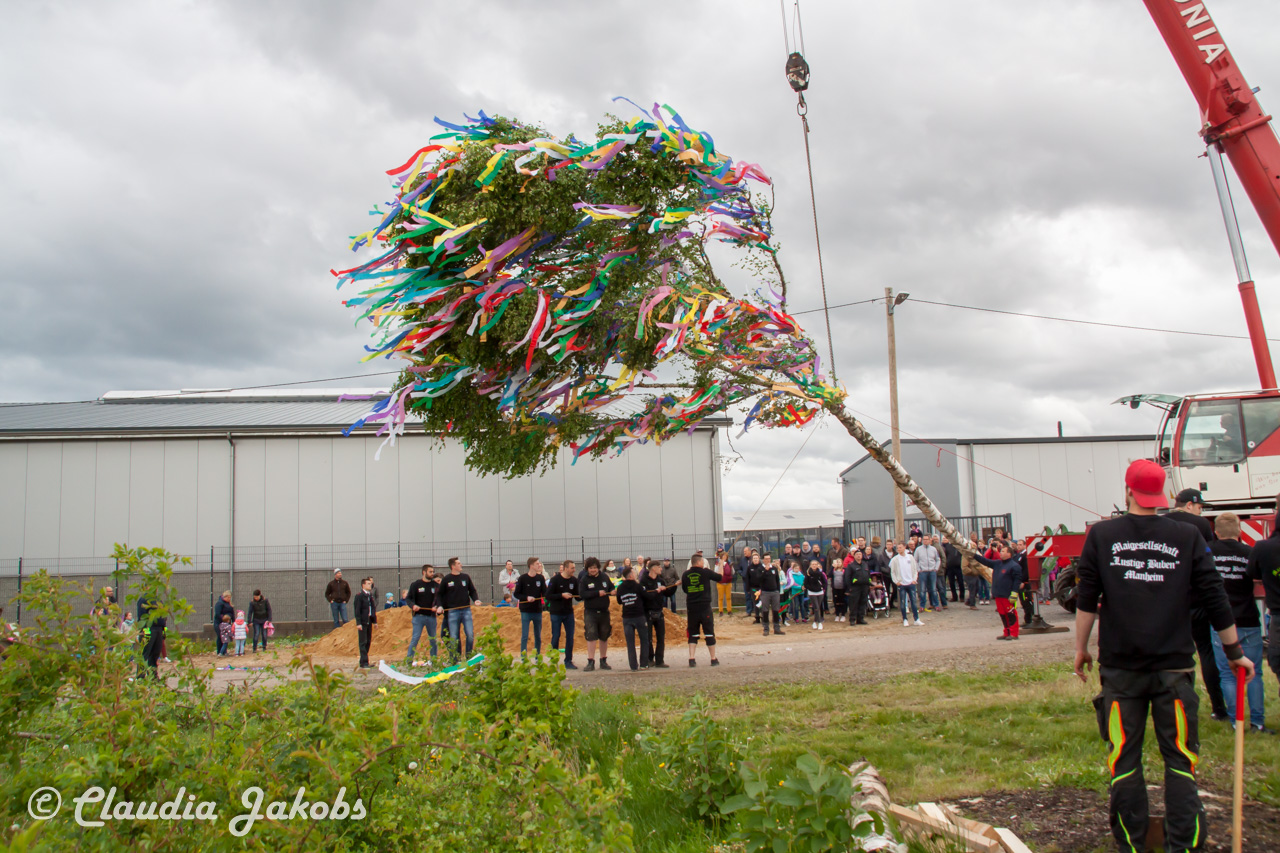 20180430182731 IMG 0948