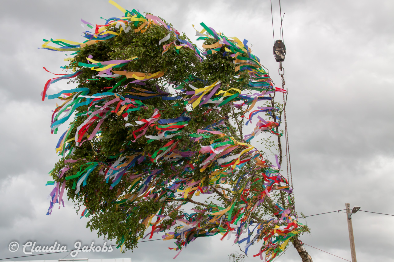 20180430182744 IMG 0951