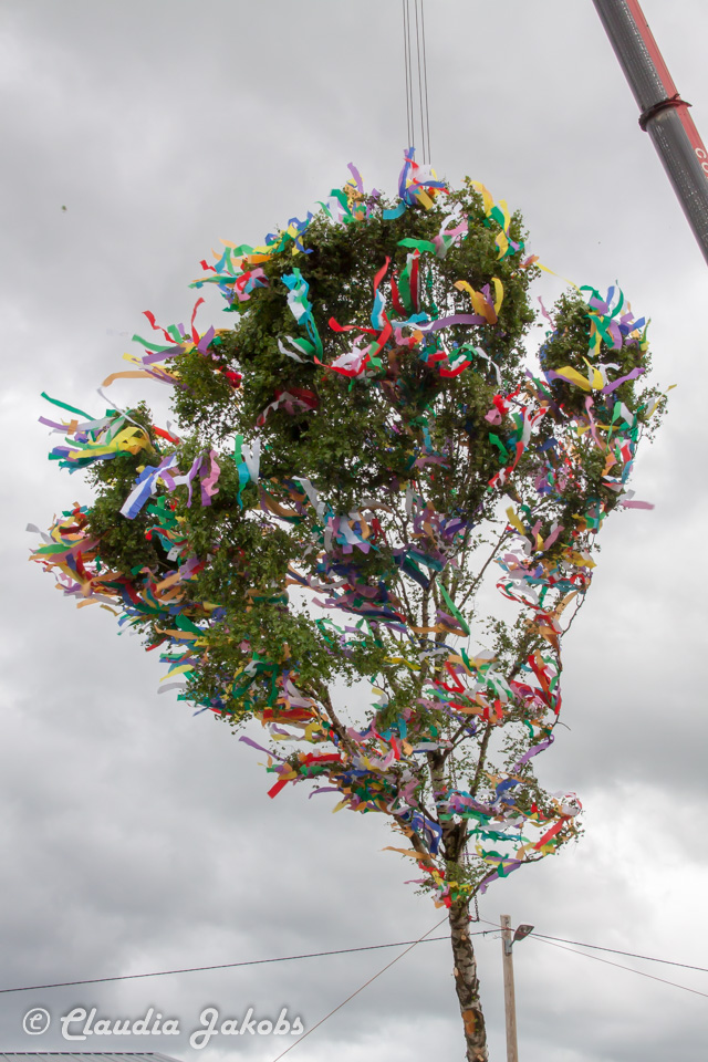 20180430182800 IMG 0954