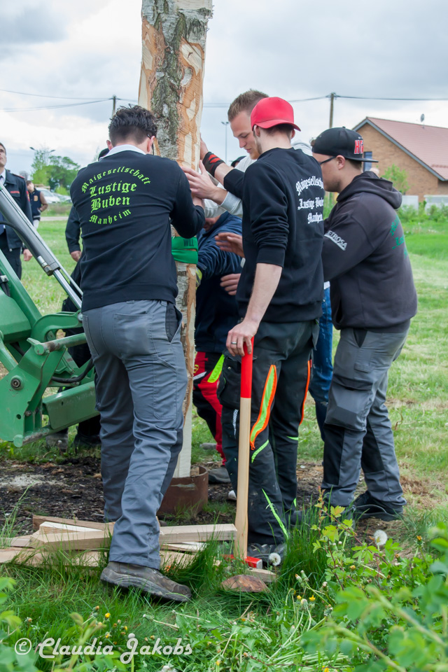 20180430183025 IMG 0973