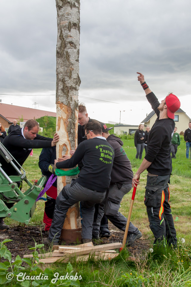 20180430183055 IMG 0978