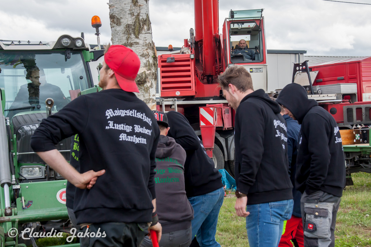 20180430183145 IMG 0985