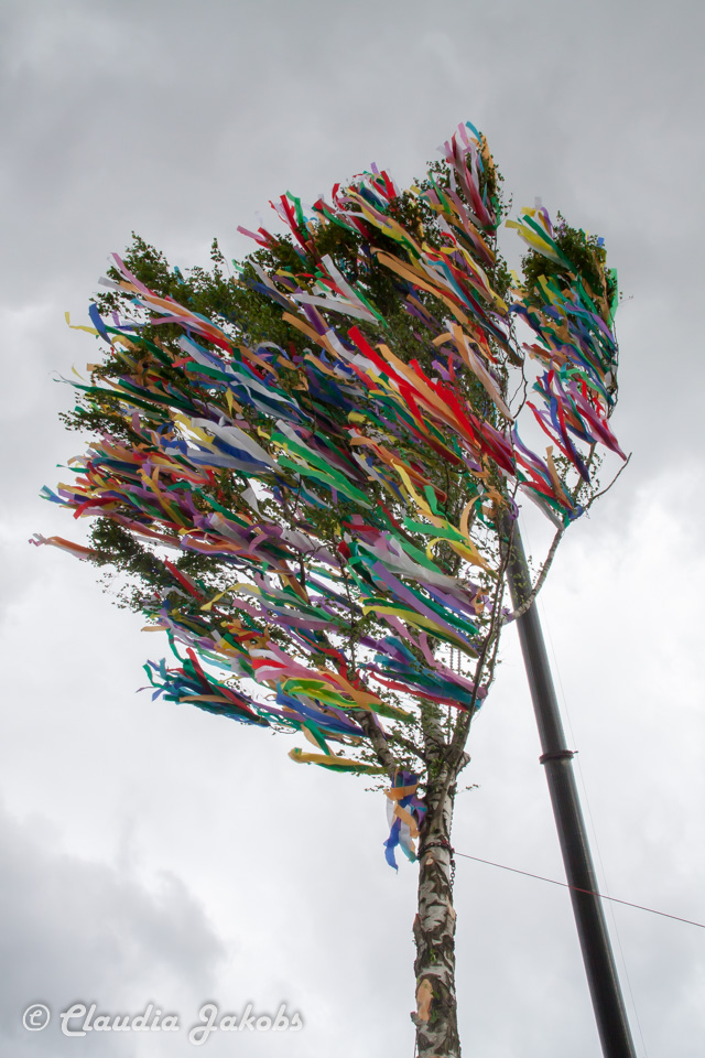 20180430183305 IMG 0990