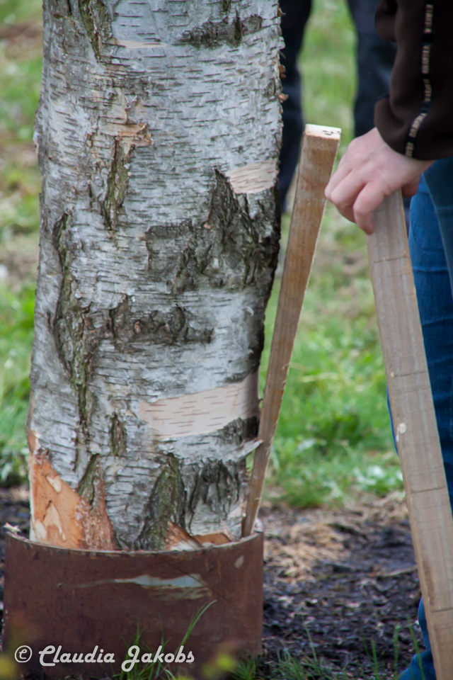 20180430183437 IMG 1007