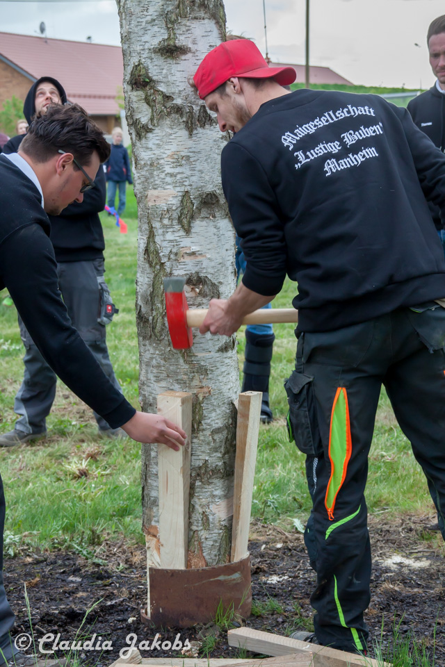 20180430183503 IMG 1011