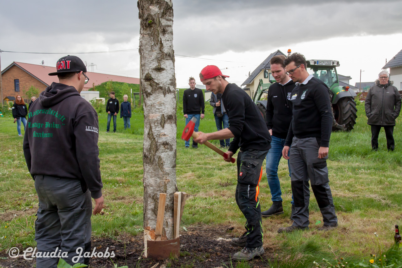 20180430183537 IMG 1022