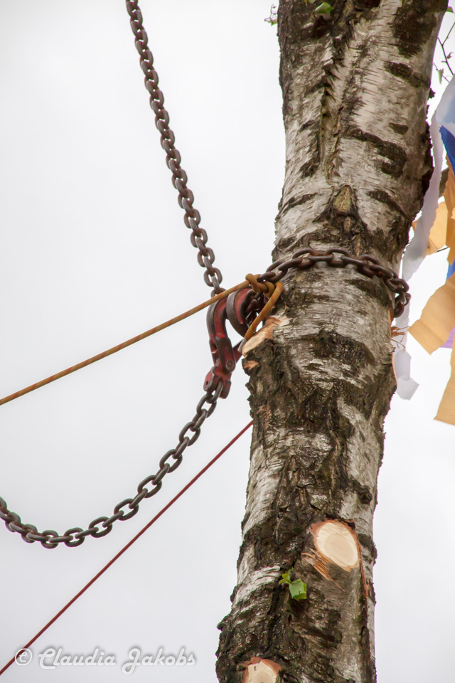 20180430183844 IMG 1038