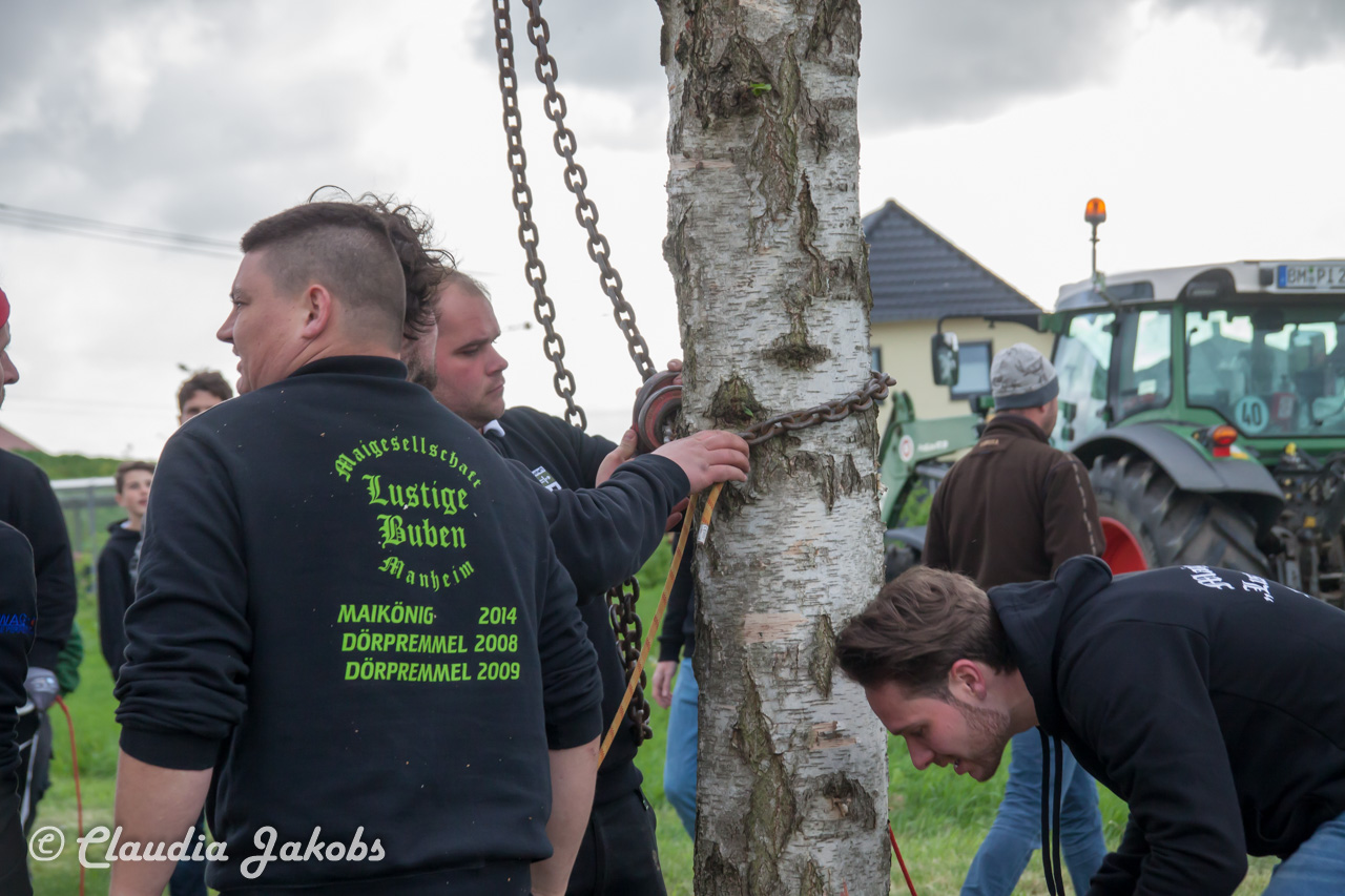 20180430183915 IMG 1041