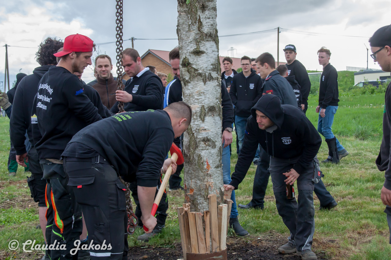 20180430184020 IMG 1053