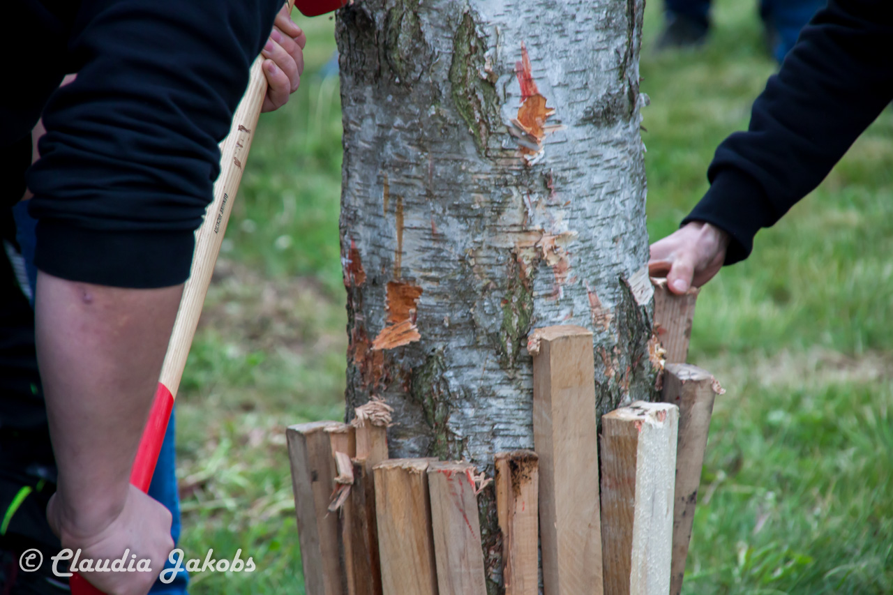 20180430184023 IMG 1055