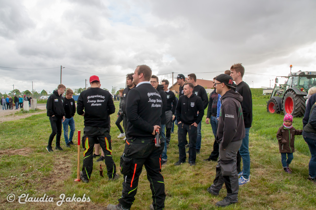 20180430184238 IMG 1058