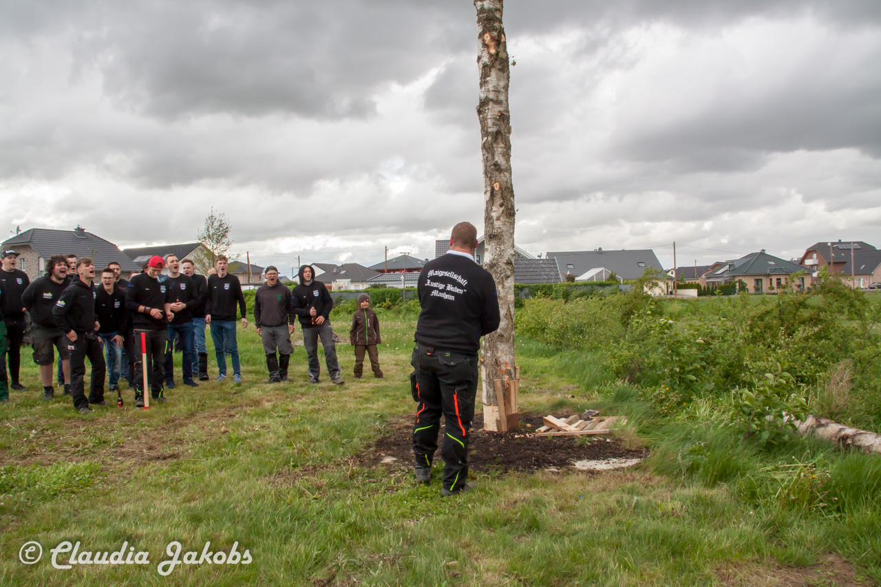 20180430184428 IMG 1065