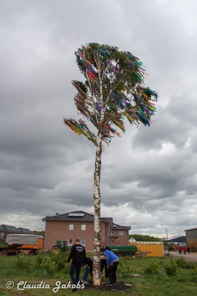 20180430184616 IMG 1097