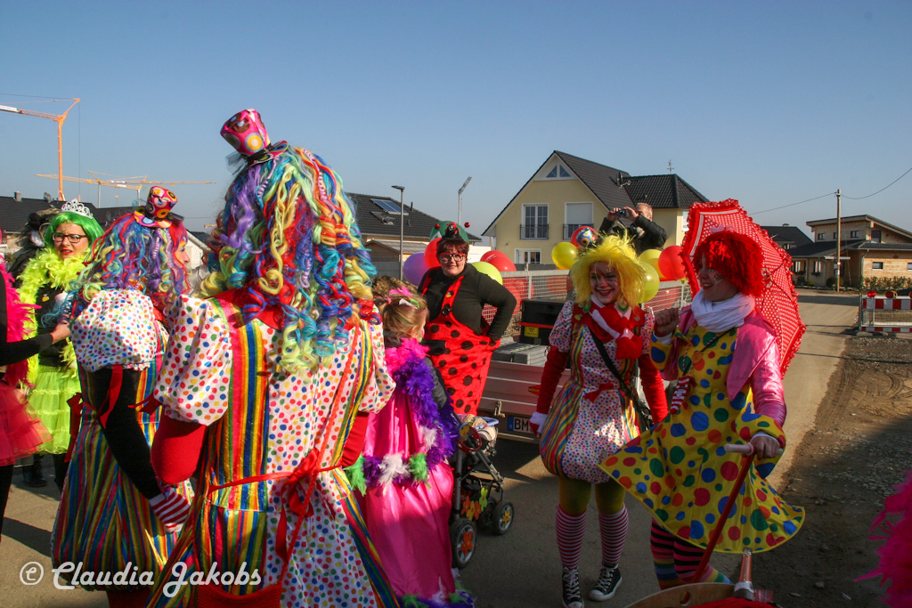 150212135101 IMG 8417