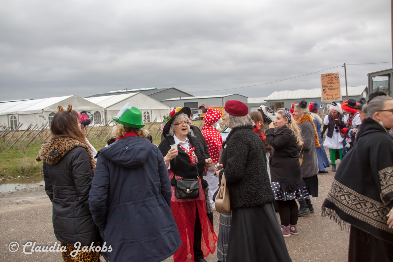 20170223123204 IMG 4834