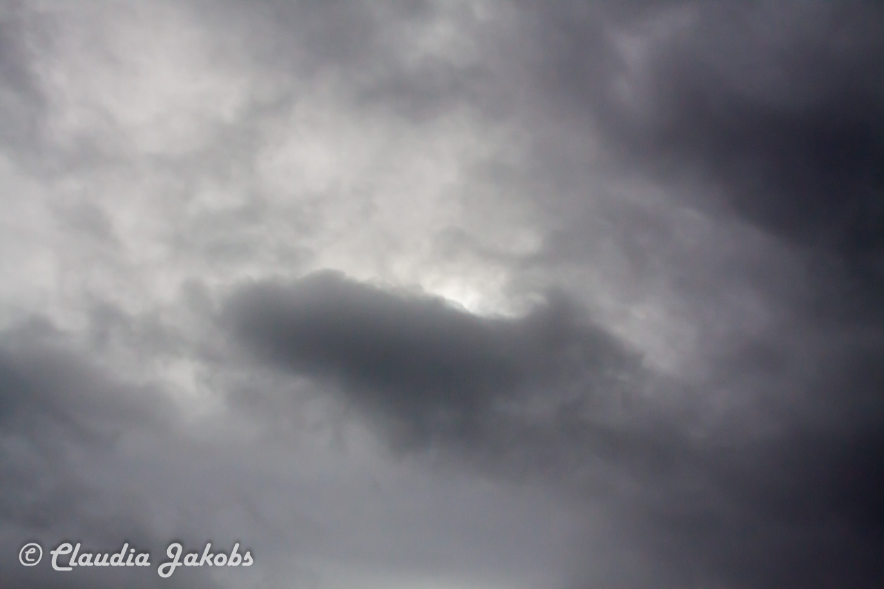 20170223124812 IMG 4865