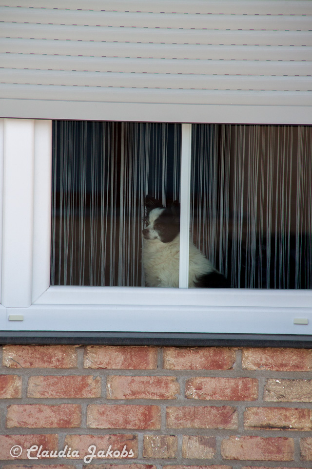 20180208124632 IMG 0331