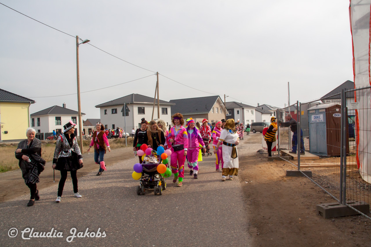 20190228115613 IMG 3744