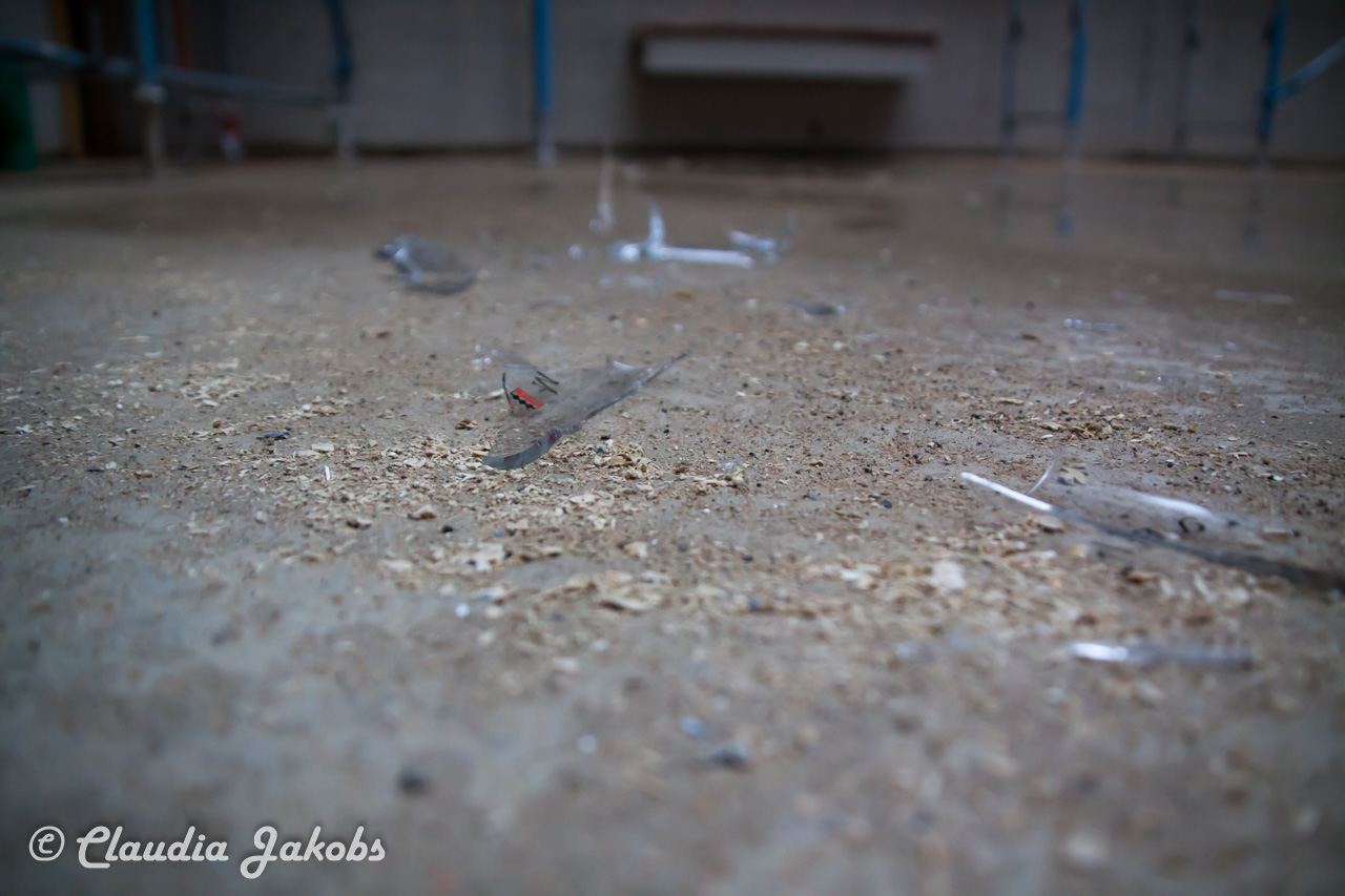 20201024162535 IMG 6878