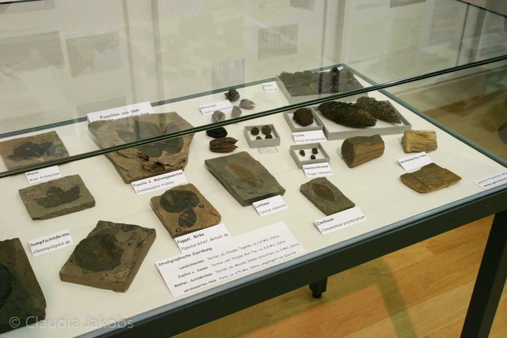 121026210205 IMG 4013