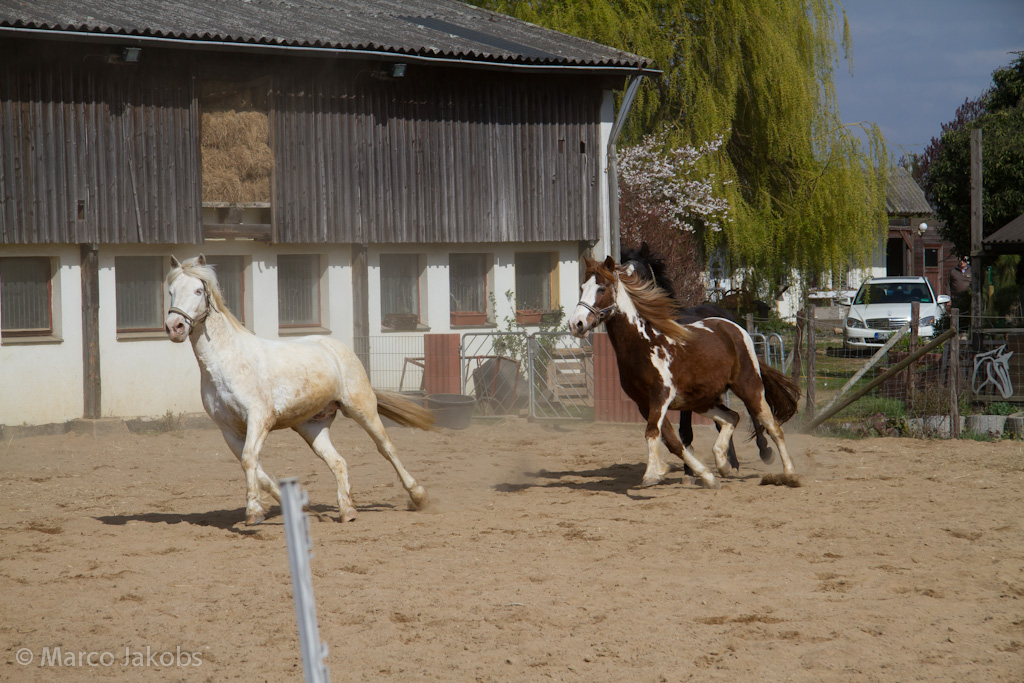 120401144630 IMG 7109