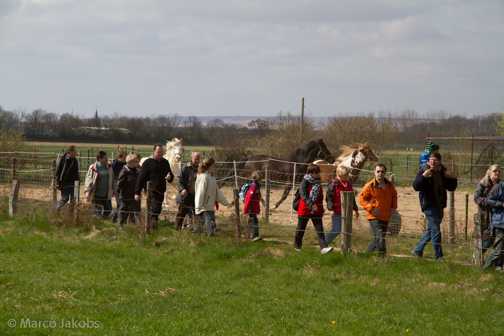 120401144733 IMG 7111