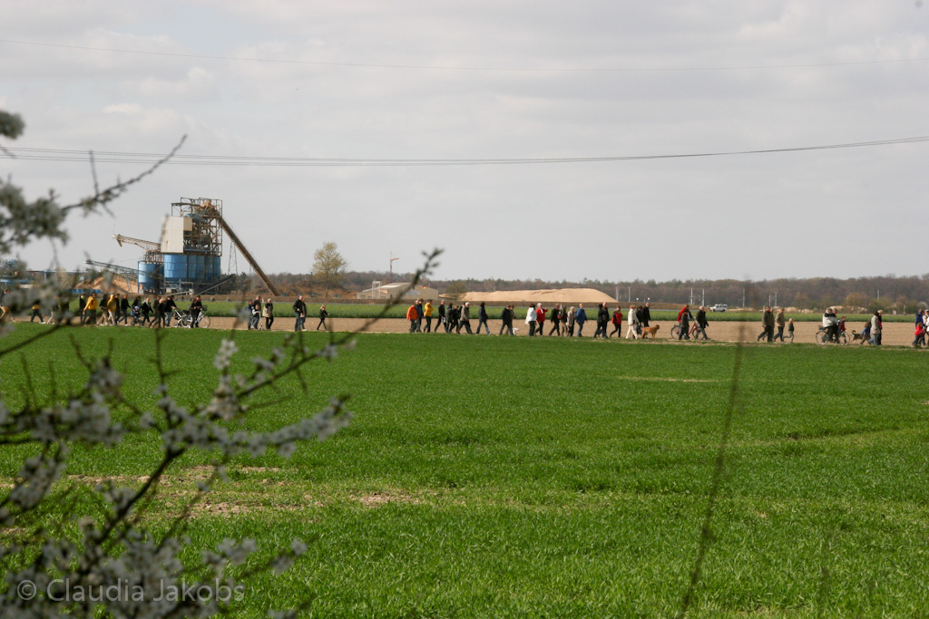 120401151618 IMG 1878