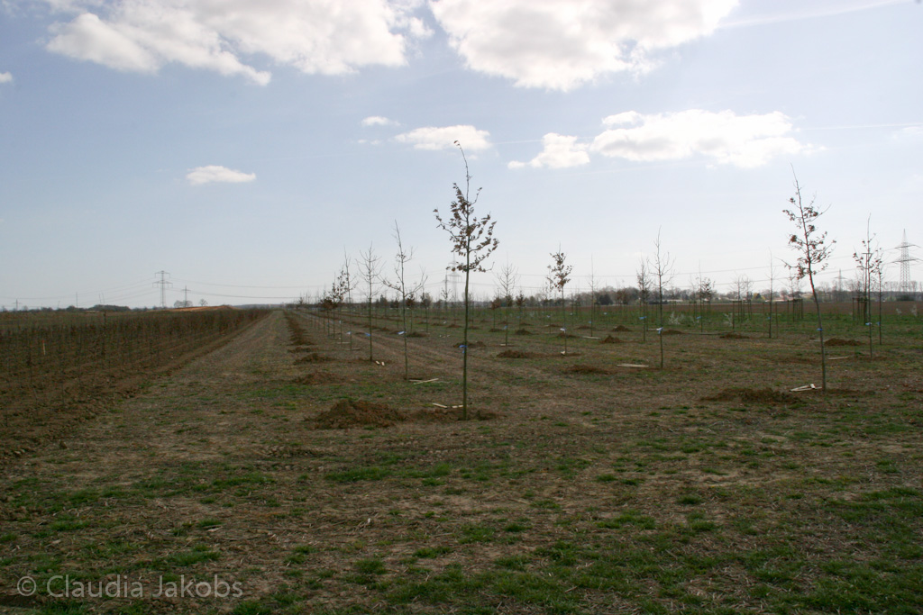 120401152245 IMG 1881