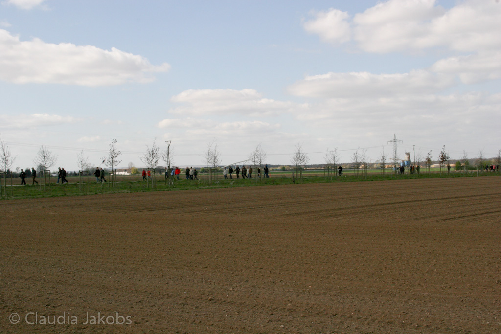 120401152306 IMG 1885