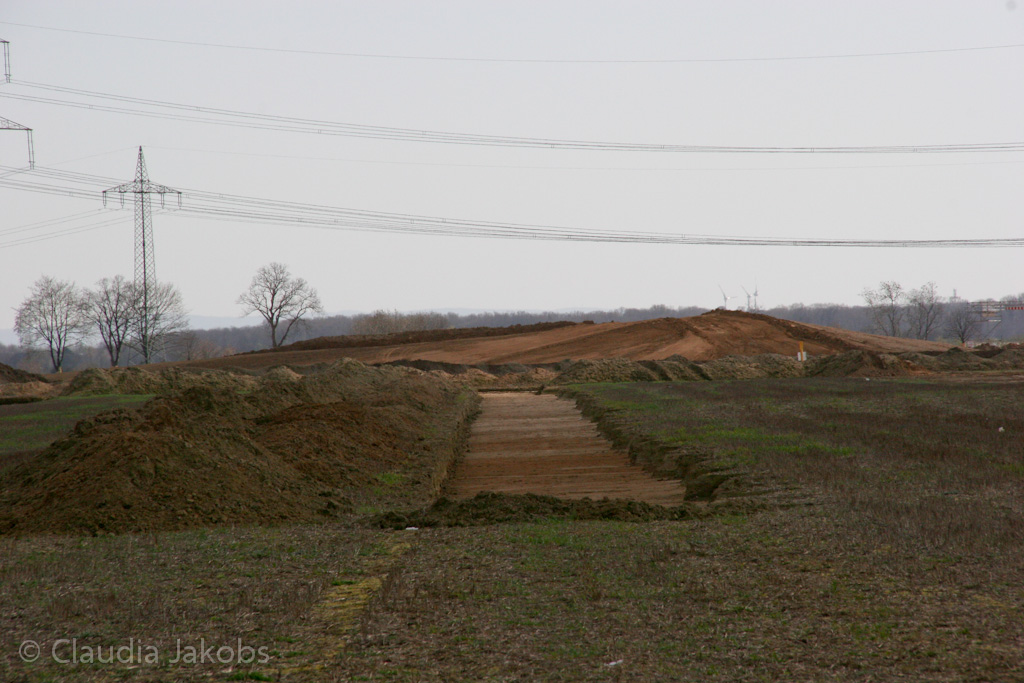 120401152353 IMG 1887