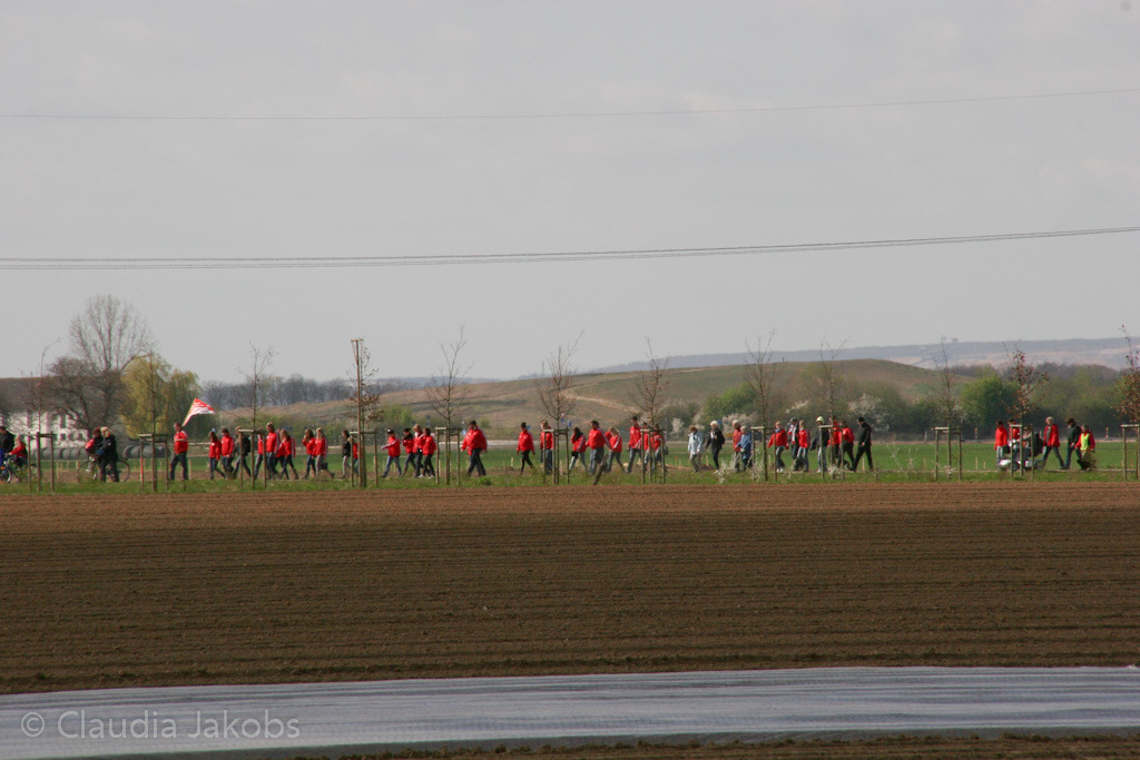 120401152529 IMG 1889