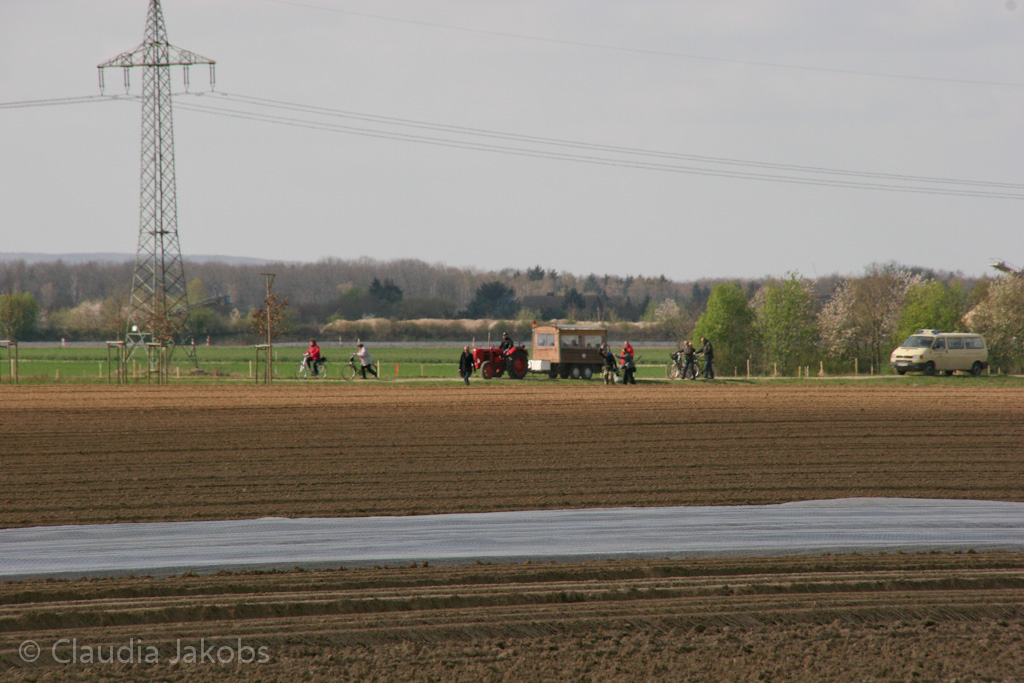 120401152535 IMG 1891