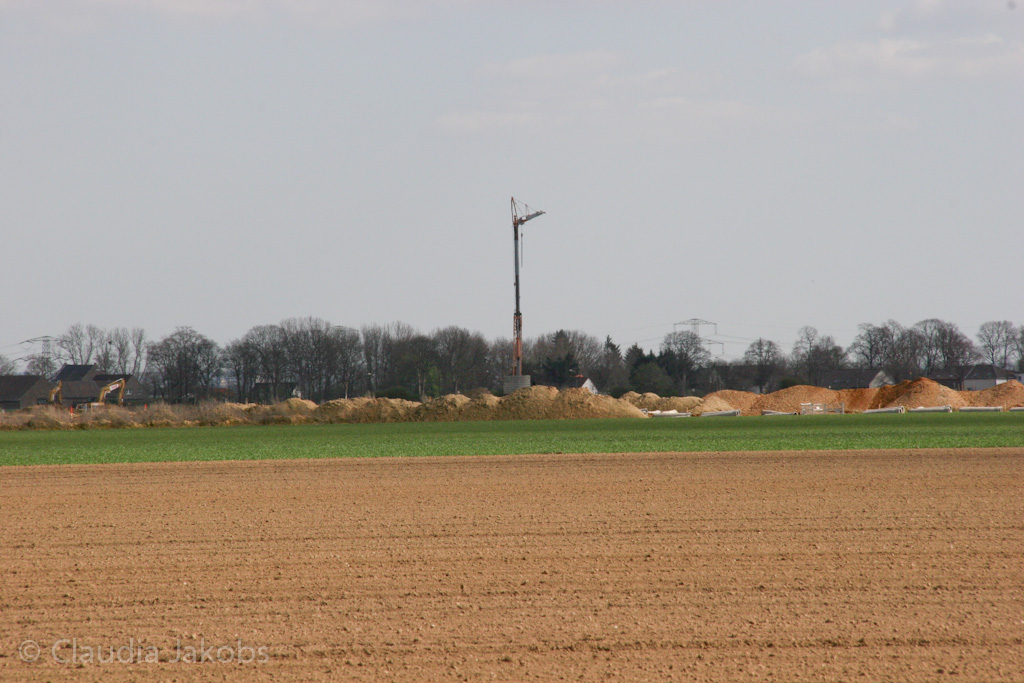 120401152651 IMG 1893