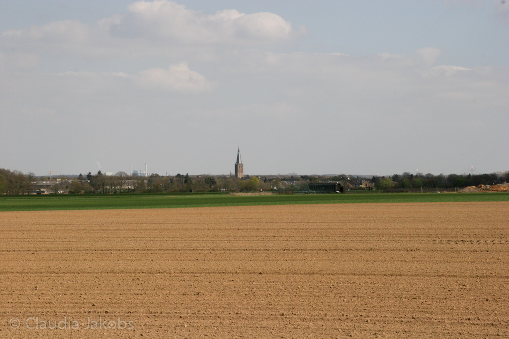 120401152656 IMG 1894