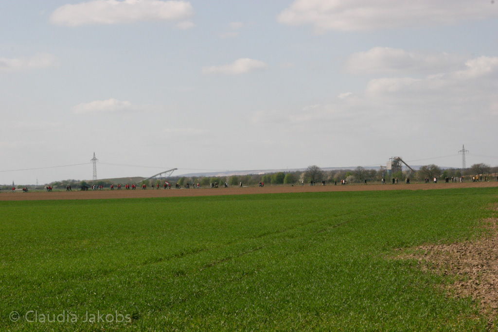 120401153344 IMG 1900