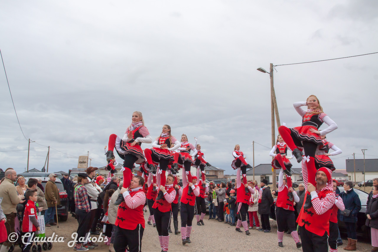 20170228155341 IMG 5192