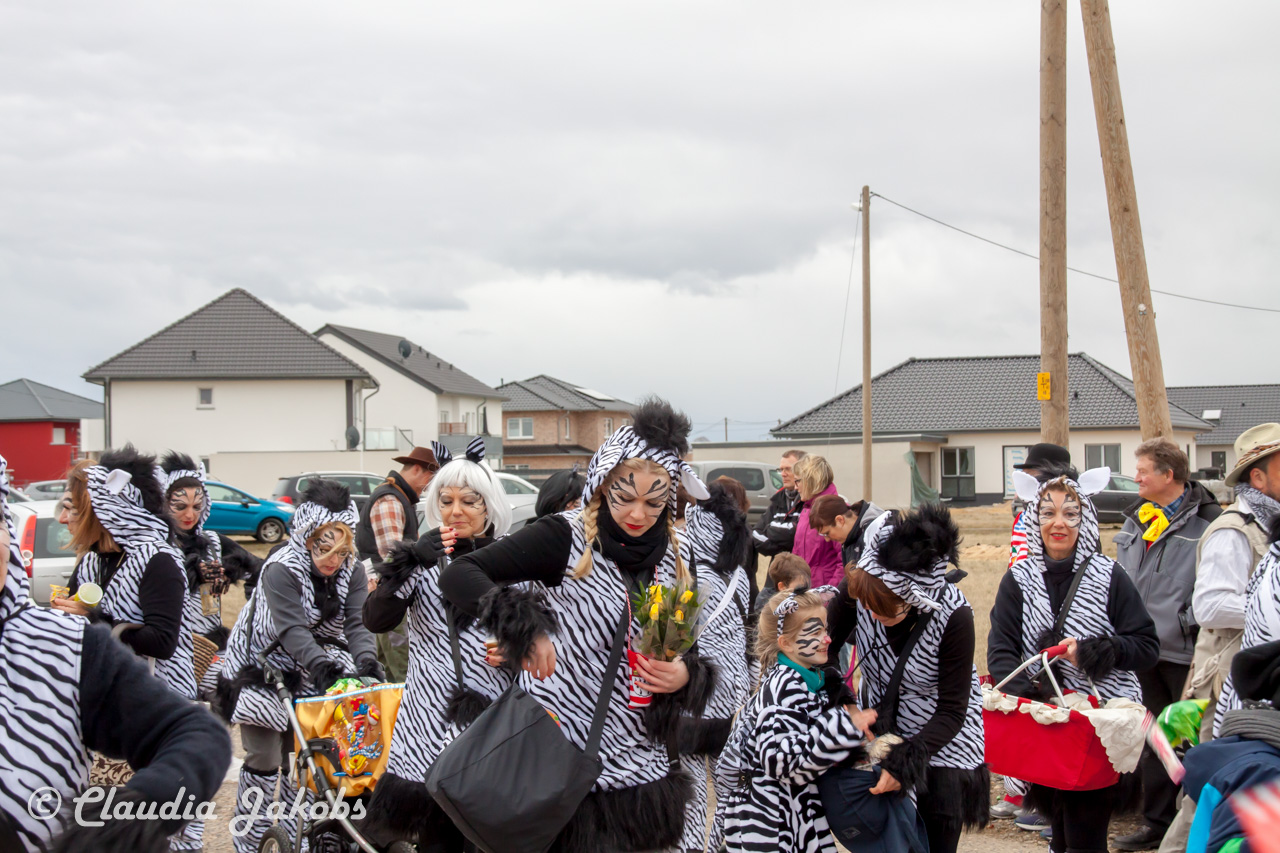 20170228155808 IMG 5242