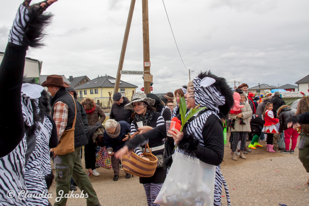 20170228155830 IMG 5246